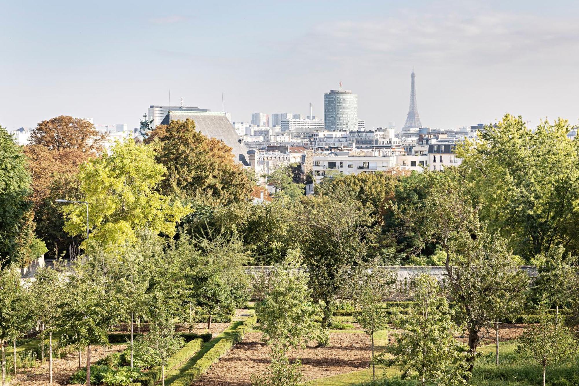 Domaine Reine Margot Paris - Issy Mgallery Collection Εξωτερικό φωτογραφία